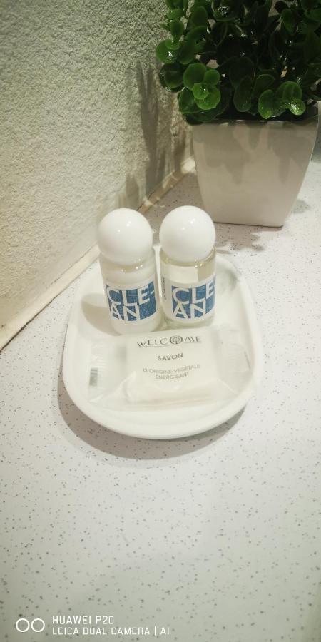 Studio 24M2 Au 4Eme Etage Ascenseur A Cote De La Gare Sncf 루르드 외부 사진